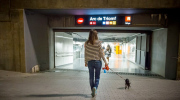 Los primeros perros que viajan en el metro de Barcelona