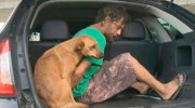 Brasil: lo detienen y su perro sube al coche de policía con él