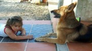 Una perra pastor alemán salva la vida de una niña