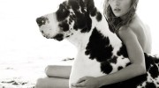 Salió el libro «Perros en Vogue: un siglo de canes chic»