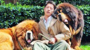 Perros de 2 millones son última moda en China