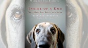 El libro que cambia la relación del hombre con los perros