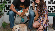 George Clooney adoptó otro perro de un refugio