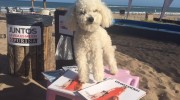 Cómo es el primer balneario canino de Argentina?