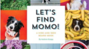 Find momo tiene nuevo libro