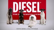 Perros reemplazan a modelos en campaña publicitaria de Diesel