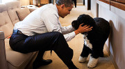 Obama se toma un descanso en la Casa Blanca junto a Bo
