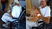 Un perro espera 8 días fuera de un hospital a que su dueño salga