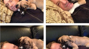 Kevin Spacey adopta un perro y lo llama Boston en homenaje al atentado ocurrido en esa ciudad