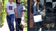 Kristen Stewart vs Robert Pattinson por la tenencia de su perro Bear